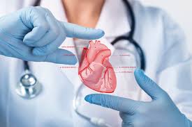 Understanding the Silent Signs of Heart Disease